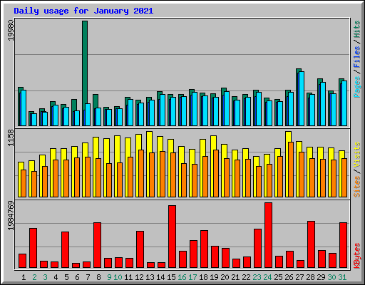 Daily usage for January 2021
