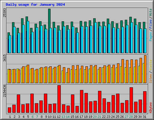 Daily usage for January 2024