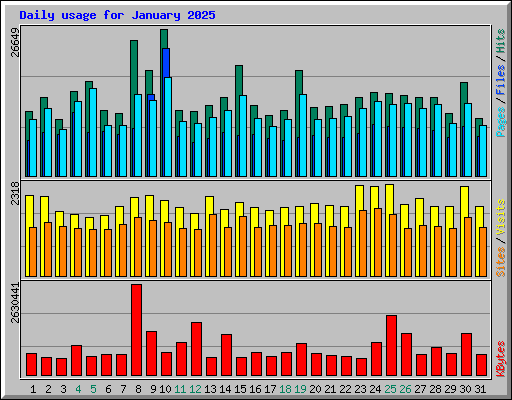 Daily usage for January 2025