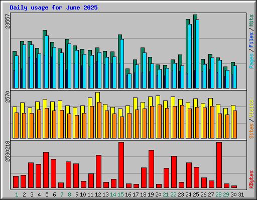 Daily usage for June 2025