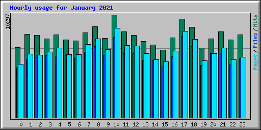 Hourly usage for January 2021