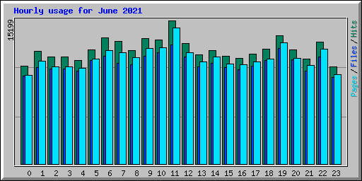 Hourly usage for June 2021