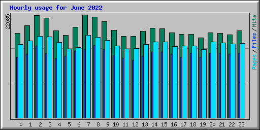 Hourly usage for June 2022