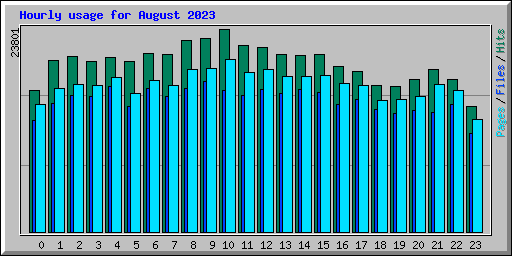 Hourly usage for August 2023