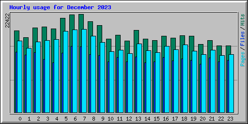 Hourly usage for December 2023