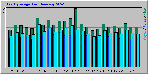 Hourly usage for January 2024
