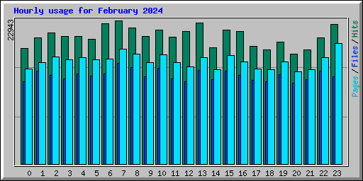 Hourly usage for February 2024