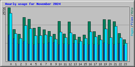Hourly usage for November 2024