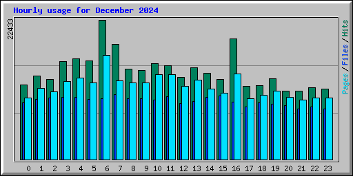 Hourly usage for December 2024
