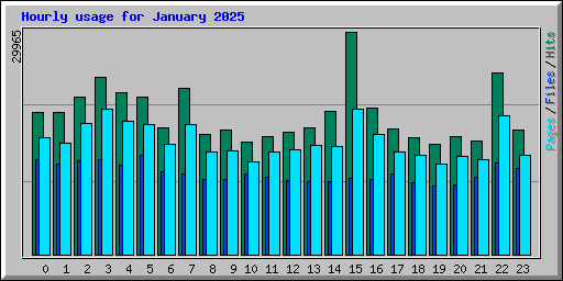 Hourly usage for January 2025