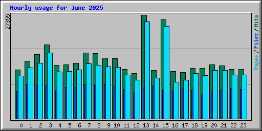 Hourly usage for June 2025