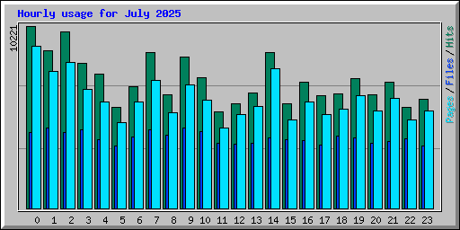 Hourly usage for July 2025