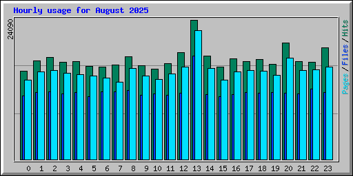 Hourly usage for August 2025