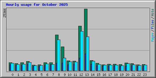 Hourly usage for October 2025