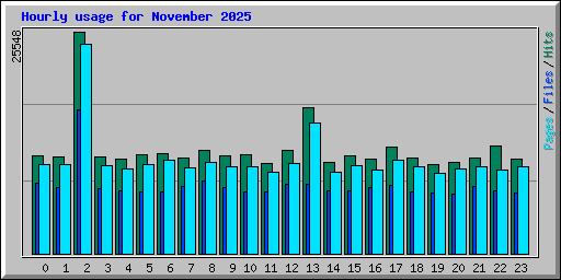 Hourly usage for November 2025
