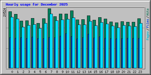 Hourly usage for December 2025