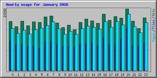 Hourly usage for January 2026