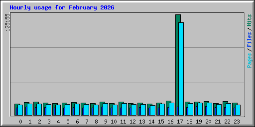 Hourly usage for February 2026