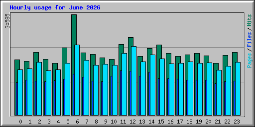 Hourly usage for June 2026