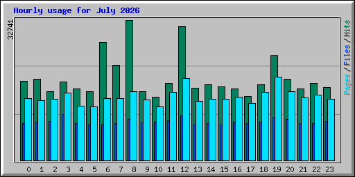 Hourly usage for July 2026